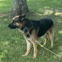 Thumbnail photo of Waylon #1