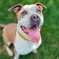 Thumbnail photo of Oz #1