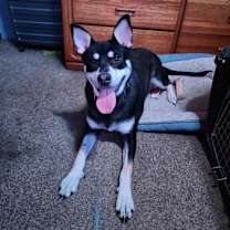 Thumbnail photo of Aeris #2