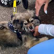 Thumbnail photo of Linus #3