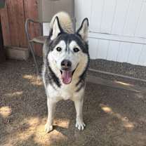 Thumbnail photo of Ranger #2