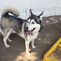 Thumbnail photo of Ranger #3