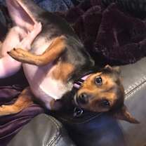 Thumbnail photo of Dia #3