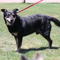 Thumbnail photo of BRANDON #3