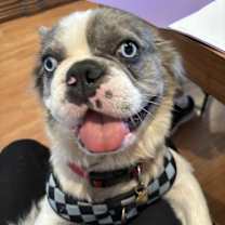 Thumbnail photo of New! SKYE #3