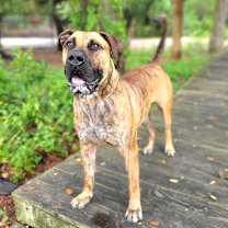 Thumbnail photo of Knox #1