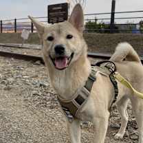 Thumbnail photo of Kori #2