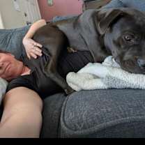 Thumbnail photo of Guinness #2