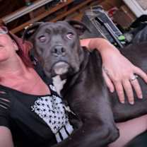 Thumbnail photo of Guinness #3