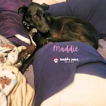 Thumbnail photo of Maddie (Courtesy Post) #4