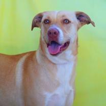 Thumbnail photo of Allie JR* #2