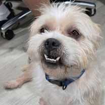 Thumbnail photo of TANK the man #3