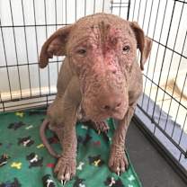 Thumbnail photo of Nixie JuM #2