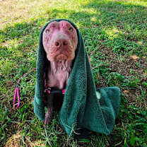 Thumbnail photo of Nixie JuM #4