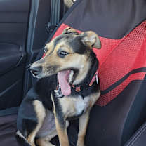 Thumbnail photo of Mileena #4