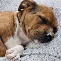 Thumbnail photo of Triniti #2