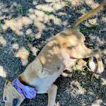 Thumbnail photo of Cici #2