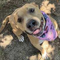 Thumbnail photo of Cici #1