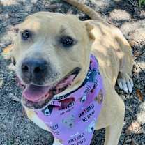 Thumbnail photo of Cici #3