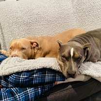 Thumbnail photo of Neela #3