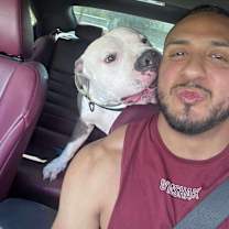 Thumbnail photo of ENZO #3