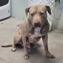 Thumbnail photo of Buddy #2