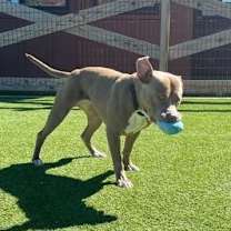 Thumbnail photo of Diamond #3