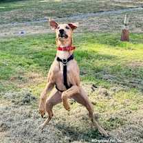 Thumbnail photo of Jonathan #3