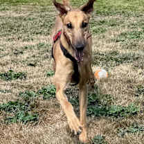 Thumbnail photo of Jonathan #4