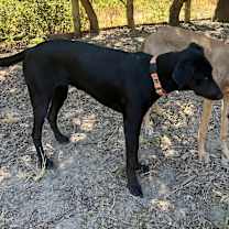 Thumbnail photo of Moira #1