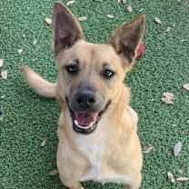 Thumbnail photo of Spice #1