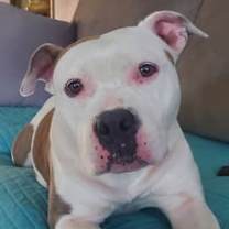 Thumbnail photo of Ghost #3