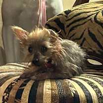 Thumbnail photo of Tobi #4