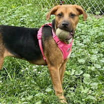 Thumbnail photo of Ava #4