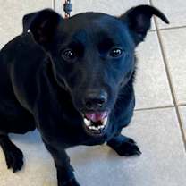 Thumbnail photo of 2025-09 Jean #1