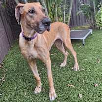 Thumbnail photo of Eliza 3551 #4