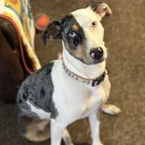 Thumbnail photo of Penny #1