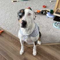 Thumbnail photo of Penny #4