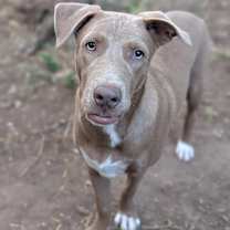 Thumbnail photo of Bojangles #1