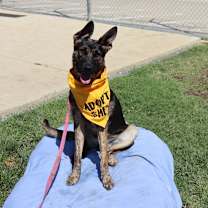 Thumbnail photo of Pebbles #1