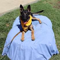 Thumbnail photo of Barney #2