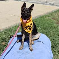 Thumbnail photo of Pebbles #3