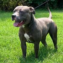 Thumbnail photo of Sweet Pea #2