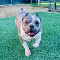 Thumbnail photo of Wilbur #2