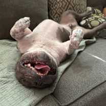 Thumbnail photo of Wilbur #4