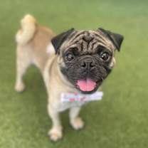 Thumbnail photo of Landon #1