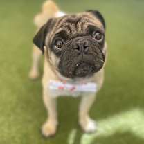 Thumbnail photo of Landon #2