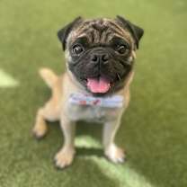 Thumbnail photo of Landon #3