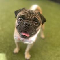 Thumbnail photo of Landon #4