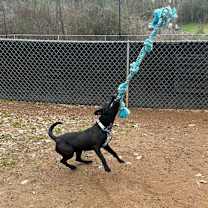 Thumbnail photo of Vincent #4